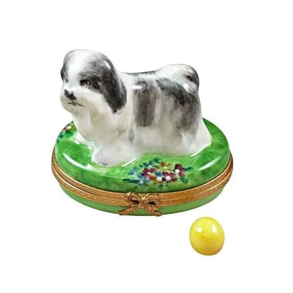 Shih Tzu Grey