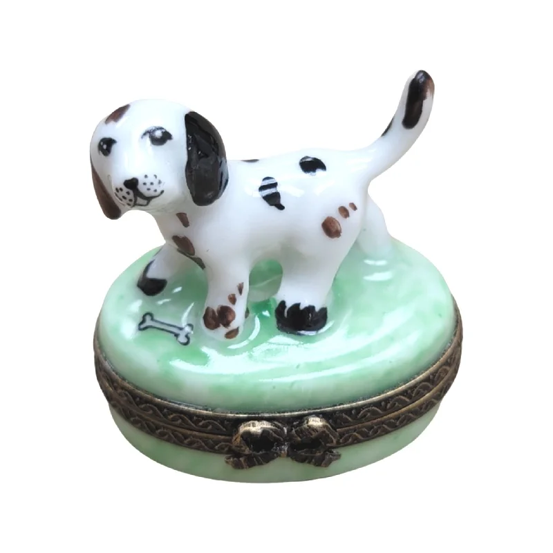 Dalmation Dog