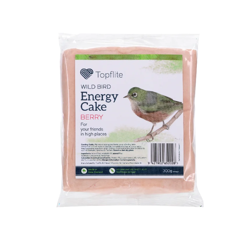 ENERGY CAKE