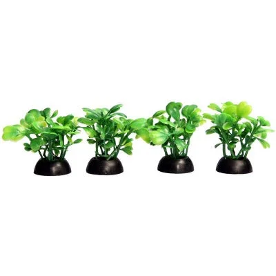 ECOSCAPE LOBELIA 4PK