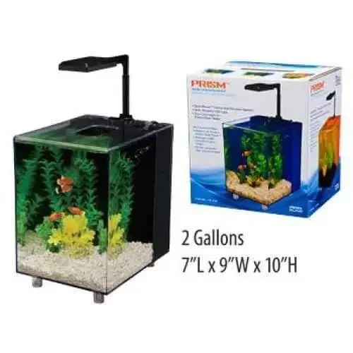 Penn Plax 2 Gallon Prism Glass Aquarium Kit