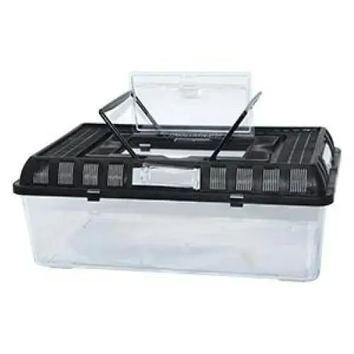 Penn-Plax Small World Habitat Portable Clear & Transparent Plastic Tank Excellent for Small Critters